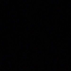 Meet your Posher, Dillan